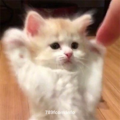 Ảnh đại diện người dùng Lê Đức